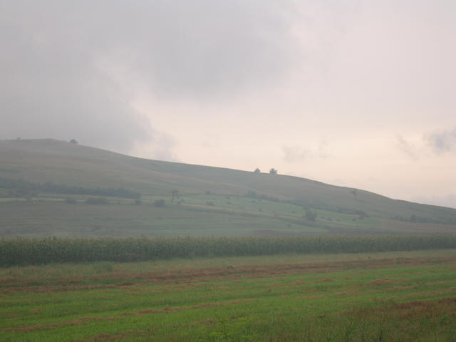 stc_0098.jpg