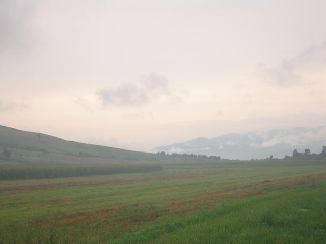 std_0099.jpg