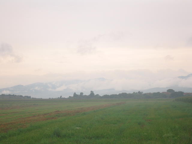 ste_0100.jpg