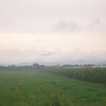 stf_0101.jpg