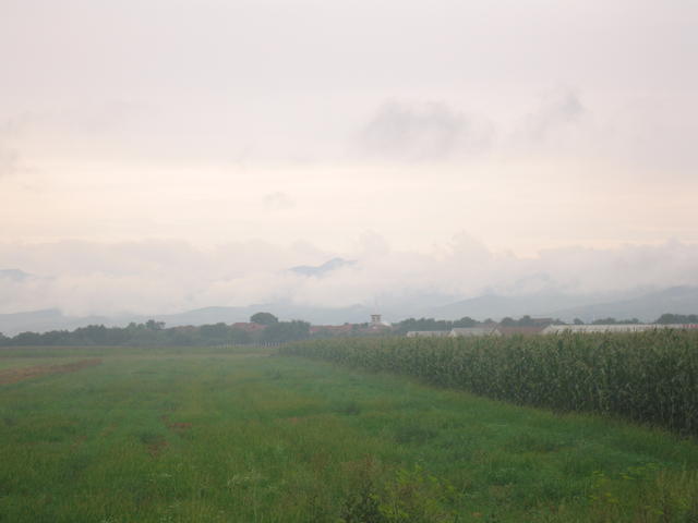 stf_0101.jpg