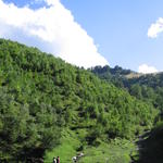 img_0114.jpg