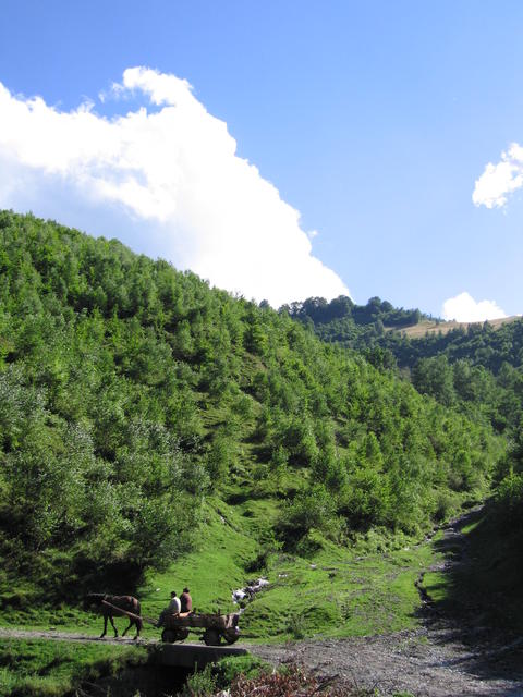 img_0114.jpg