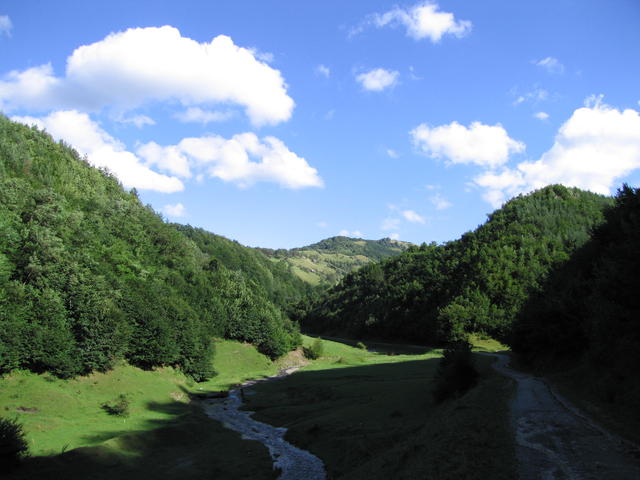 img_0116.jpg