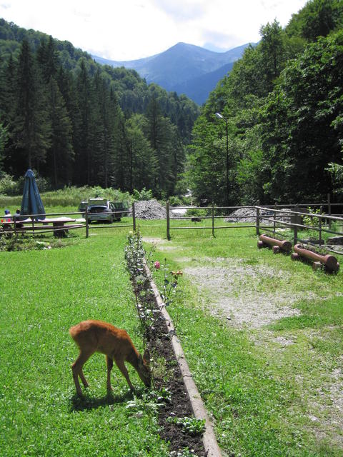 img_0128.jpg