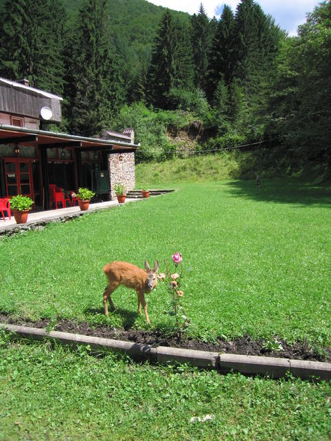img_0129.jpg