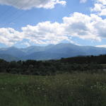 img_0130.jpg