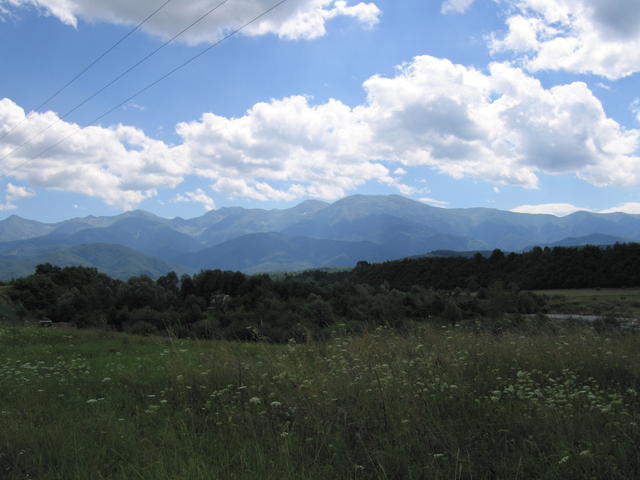img_0130.jpg