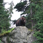 Canada 2007