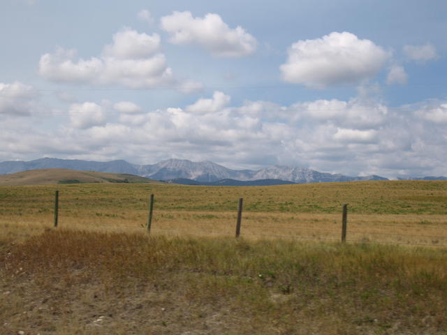 img_1773.jpg
