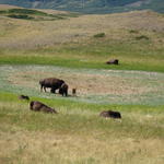 img_1782.jpg