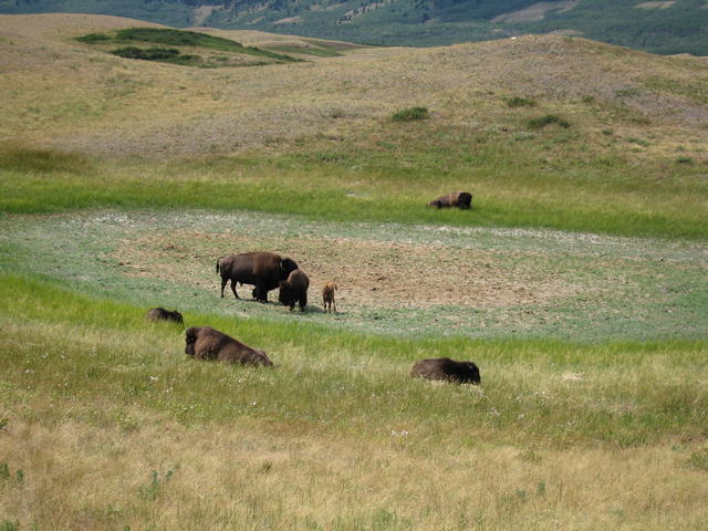img_1782.jpg