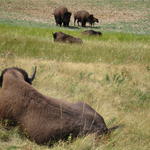 img_1783.jpg