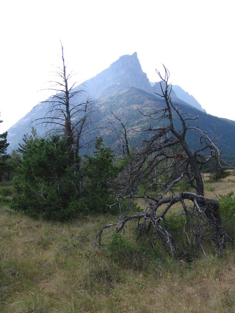 img_1796.jpg
