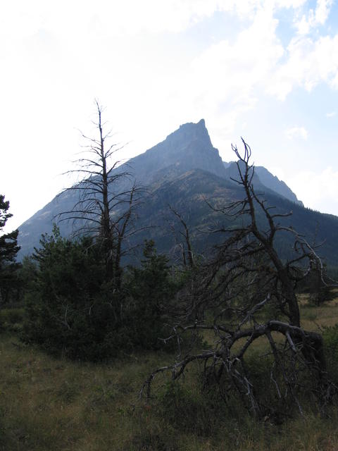 img_1797.jpg