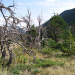 img_1798.jpg