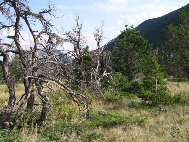 img_1798.jpg