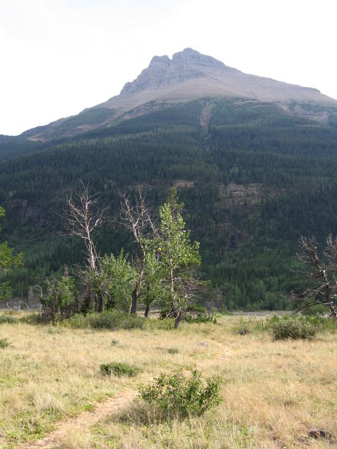 img_1799.jpg