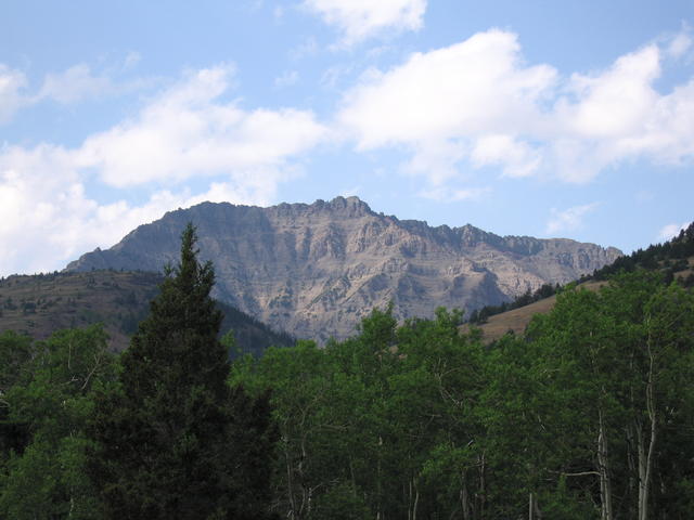 img_1800.jpg