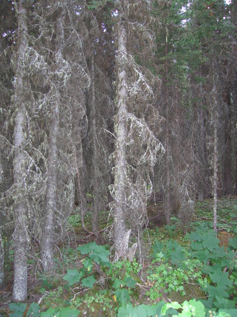 img_1804.jpg