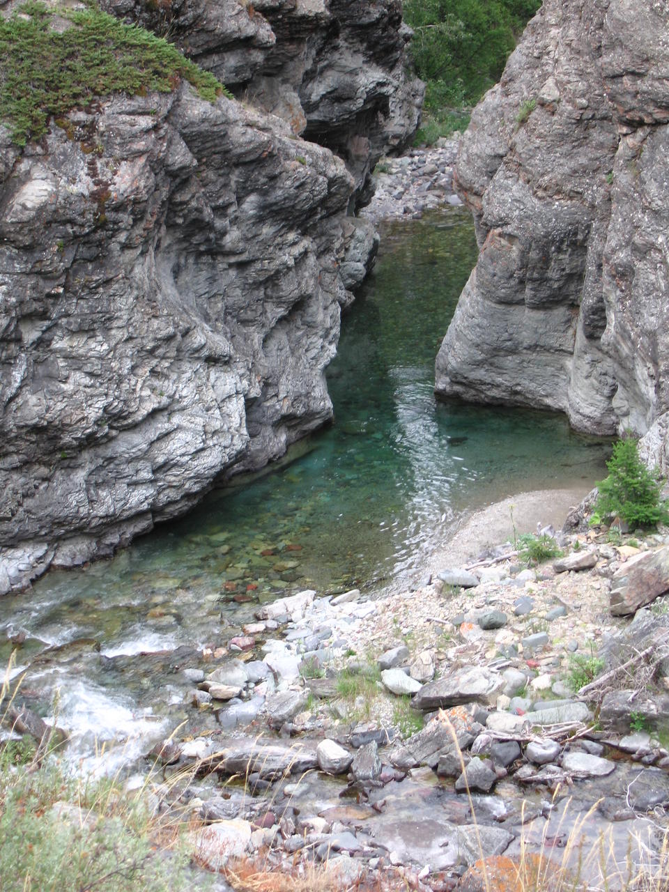img_1807.jpg