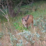 img_1813.jpg