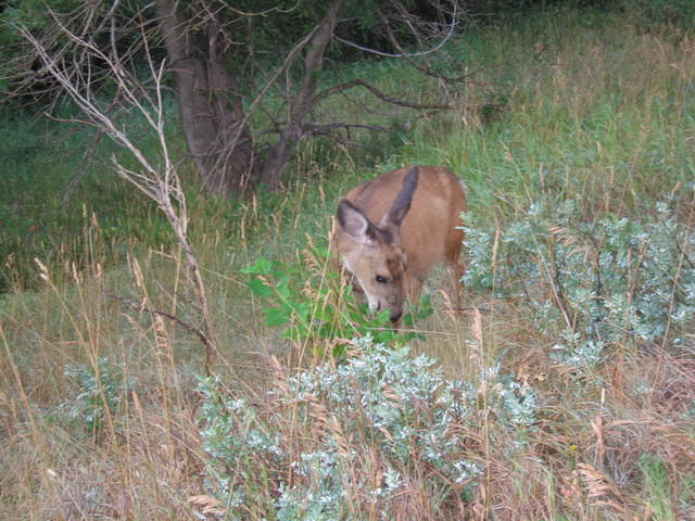 img_1813.jpg