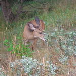 img_1814.jpg