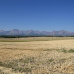 img_1824.jpg