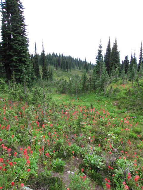 img_1863.jpg