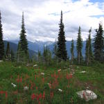 img_1864.jpg