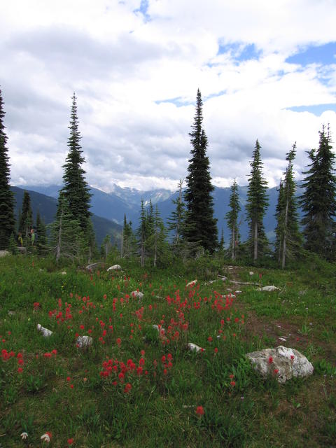 img_1864.jpg