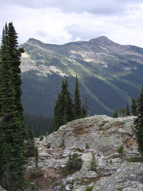 img_1866.jpg