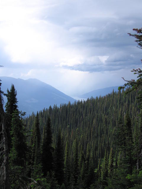img_1869.jpg