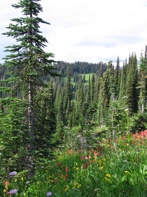 img_1872.jpg