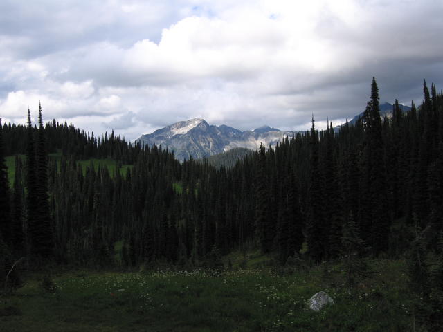 img_1874.jpg