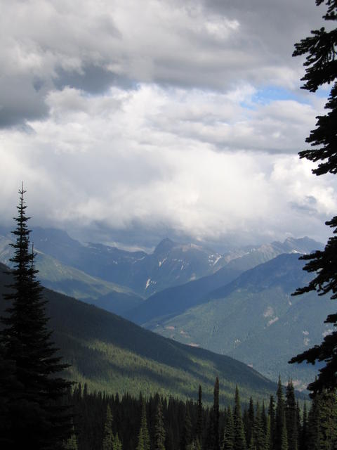 img_1877.jpg