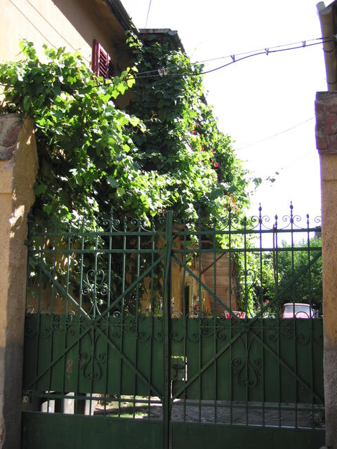 img_0154.jpg