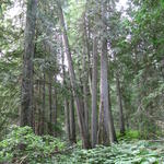 img_1882.jpg
