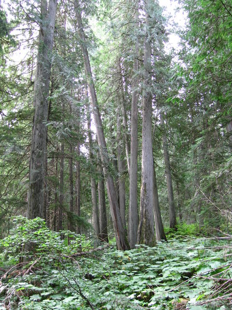 img_1882.jpg