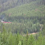 img_1888.jpg