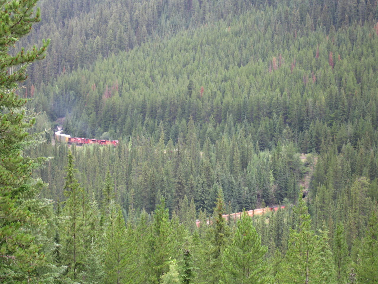 img_1888.jpg