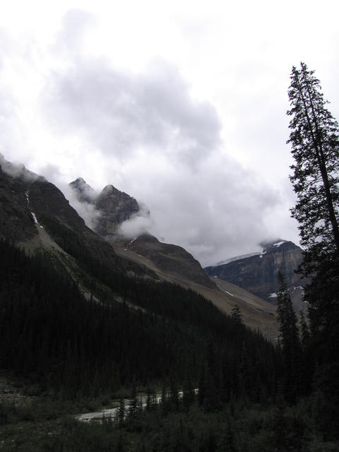 img_1892.jpg