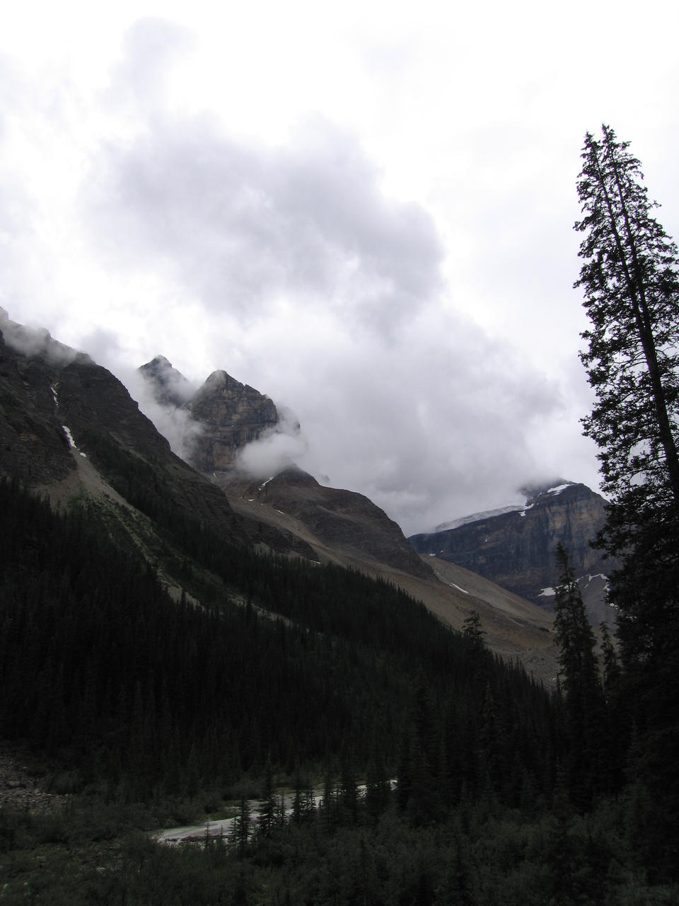 img_1892.jpg