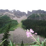 img_1893.jpg