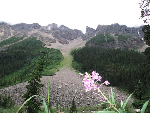 img_1893.jpg