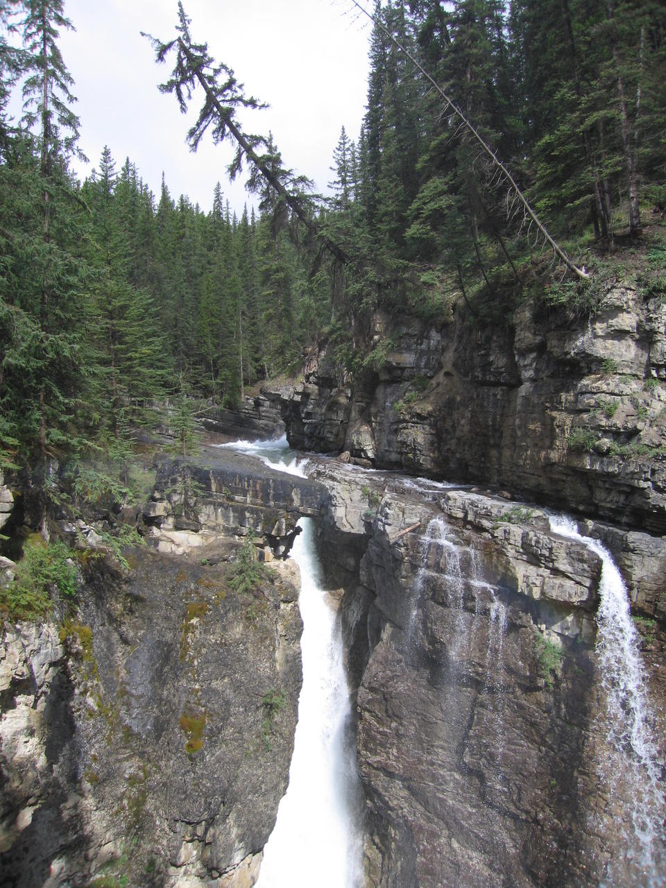 img_1903.jpg