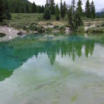 img_1905.jpg