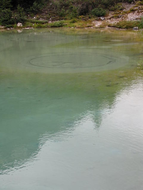 img_1908.jpg