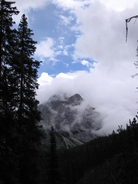 img_1911.jpg